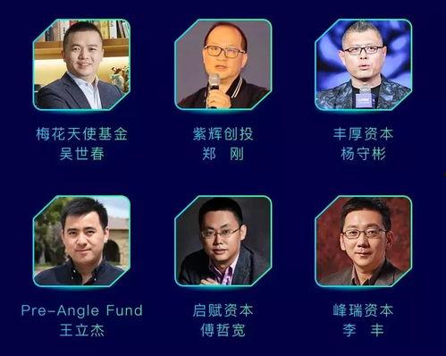 创投大佬爆料视频,揭秘投资界的内幕与真相 第2张 创投大佬爆料视频,揭秘投资界的内幕与真相 第2张